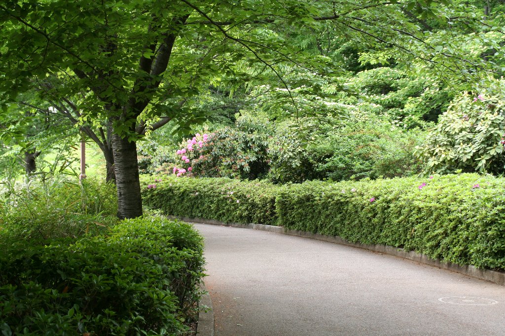 相模原市の北部にある相模原北公園に行ってみました